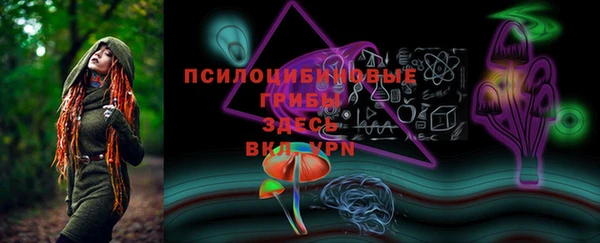 синтетический гашиш Новодвинск