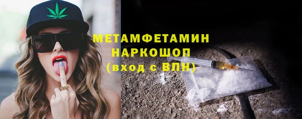 шишки Новозыбков