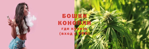 шишки Новозыбков